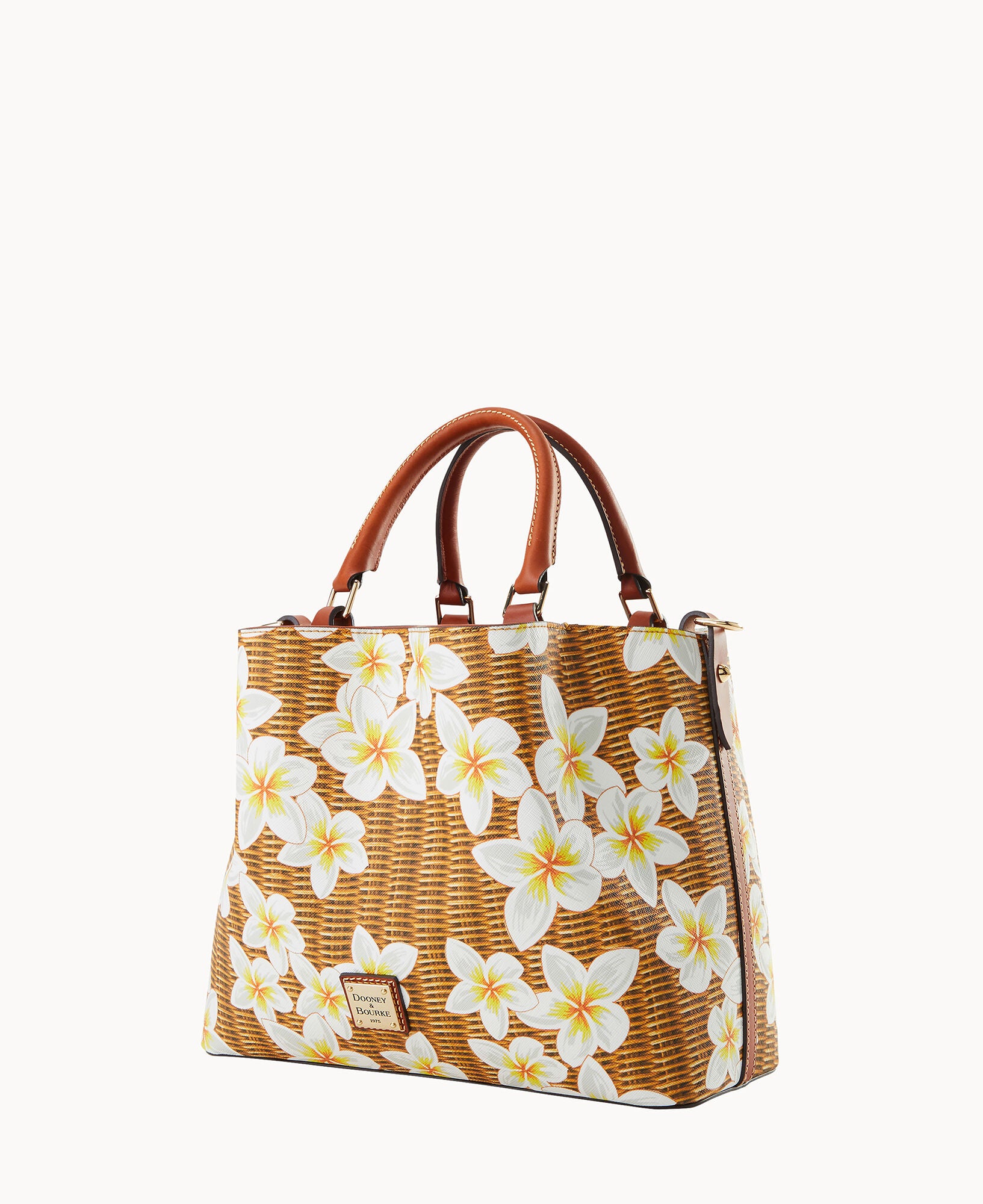 Plumeria Brenna - Image 2